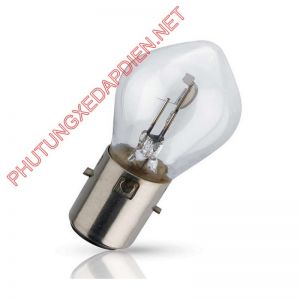 Bóng đèn xe máy điện 56V