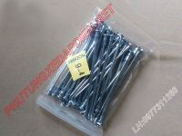 Căm xe đạp điện bánh sau 20 Inch