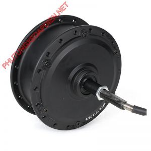 Động cơ 24V/36V-350W Líp tầng